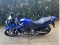 HONDA CB 600 F (HORNET) 2003/5 - 2