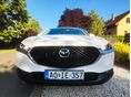 MAZDA CX-30 2019/12 - 9