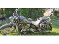 YAMAHA XVS 650 DRAG STAR 1997 - 5