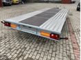 NIEWIADOW 2026 - 4