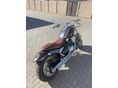 SUZUKI VL 1500 (INTRUDER) 2003/7 - 5