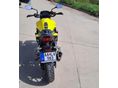 HONDA CB 750 HORNET 2023/4 - 4