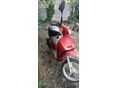 PIAGGIO FREE 2003/3 - 2