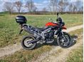 TRIUMPH TIGER 800 