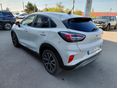 FORD PUMA 2020/8 - 3