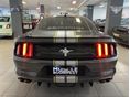 FORD MUSTANG 2017 - 5