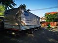 IVECO 2017/9 - 3