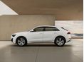 AUDI Q8 2026 - 2