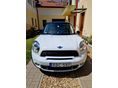 MINI COUNTRYMAN 2013/1 - 1