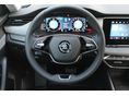 SKODA OCTAVIA 2025/1 - 11