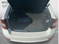 SKODA RAPID 2018/10 - 11