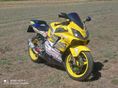 HONDA CBR 600 F4 2002 - 4