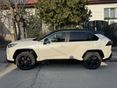 TOYOTA RAV 4 2019/3 - 9