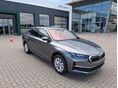 SKODA OCTAVIA 2026 - 2