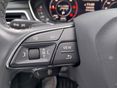 AUDI A4 ALLROAD 2017/6 - 20