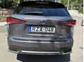 LEXUS NX 2020 - 12