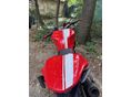 DUCATI MONSTER 821 2016 - 10