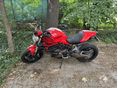 DUCATI MONSTER 821 Stripe