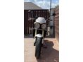 TRIUMPH STREET TRIPLE 675 2009/7 - 3