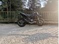 GENERIC TRIGGER SM 50 2019 - 4
