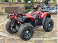 LINHAI 400 4X4 2010/5 - 3