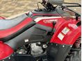 LINHAI 400 4X4 2010/5 - 10