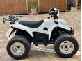 CPI CARB 100 2006/4 - 1