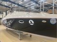 STICKL YACHTS 2019 - 3