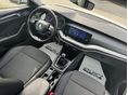 SKODA OCTAVIA 2021/9 - 6