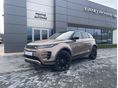 LAND ROVER RANGE ROVER EVOQUE RangeEvoque D200 Dynamic SE (Automata)