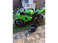 KAWASAKI ZX-6R (NINJA) 2005/4 - 2