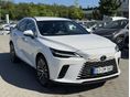 LEXUS RX 2024/12 - 1