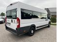 FIAT DUCATO 2021/4 - 4