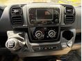 FIAT DUCATO 2026/3 - 12