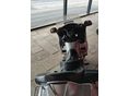 HONDA GL 1800 (GOLD WING) 2008/2 - 5