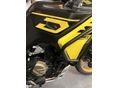 VOGE DS800X RALLY 2026/5 - 28