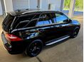 MERCEDES-BENZ ML 250 2013/10 - 11