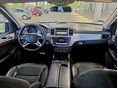 MERCEDES-BENZ ML 250 2013/10 - 17