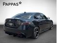 ALFA ROMEO GIULIA 2025/3 - 5