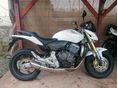 HONDA CB 600 F (HORNET) 2007/4 - 5