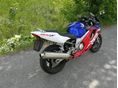 HONDA CBR 600 F4 2000/10 - 4