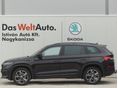 SKODA KODIAQ 2023/12 - 3