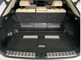 LEXUS RX 2023/3 - 7