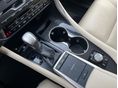 LEXUS RX 2023/3 - 12