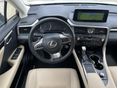 LEXUS RX 2023/3 - 17