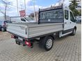 FORD TRANSIT 2022/9 - 3
