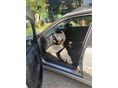 OPEL VECTRA B 2002/4 - 4