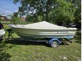 QUICKSILVER Fish 440