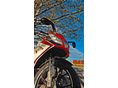 APRILIA RS 50 