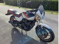 SUZUKI GS 650 G 1985/4 - 2